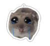 Cute hamster acrylic keychain mobile phone keychain bag decoration tag printed keychain accessories - Image 7