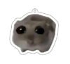 Cute hamster acrylic keychain mobile phone keychain bag decoration tag printed keychain accessories - Image 3
