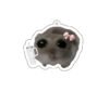 Cute hamster acrylic keychain mobile phone keychain bag decoration tag printed keychain accessories - Image 8